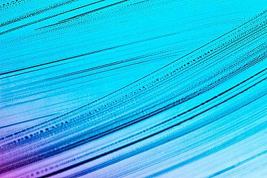 Switch《怪物猎人：崛起》5折新史低 折后价195元